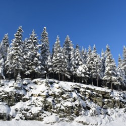 Blue skies in winter