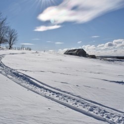 A snowmobile trail in a field in winter
