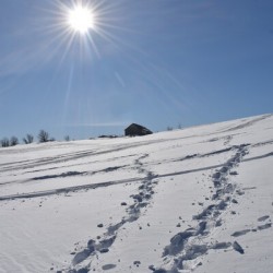 Footprints in the snow