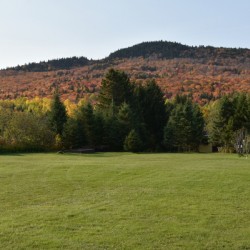A field in autumn