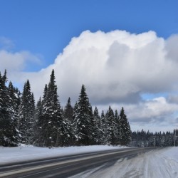 A country road in winter