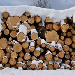 A cord of wood in winter