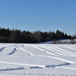 Snowmobile tracks in a field