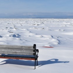 By the river in winter