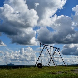 The park under a summer sky