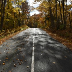 A country road in autumn