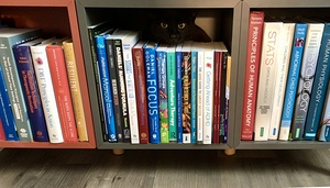 Library Void See’s into your soul