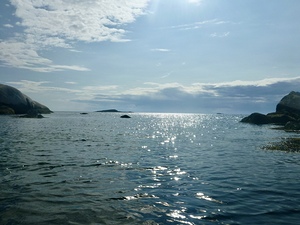 Window to the Open Ocean 