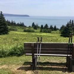 Hiking poles at lookout 