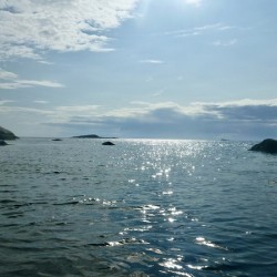 Window to the Open Ocean 