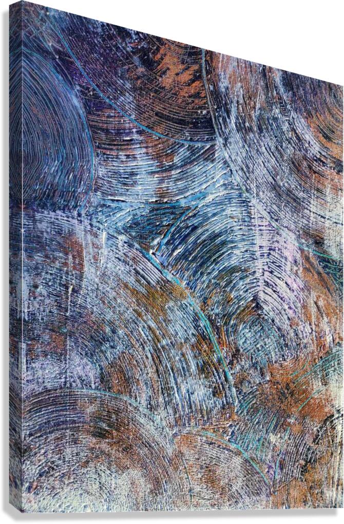 Celestial Cycles Canvas Print