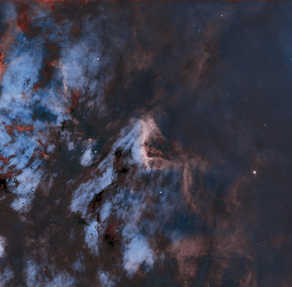 Pelican Nebula by Tim Overcashier