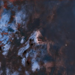 Pelican Nebula