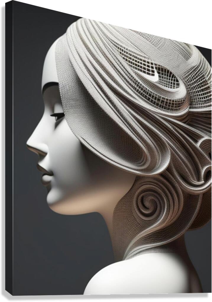 Faceless Expression 4 Canvas Print