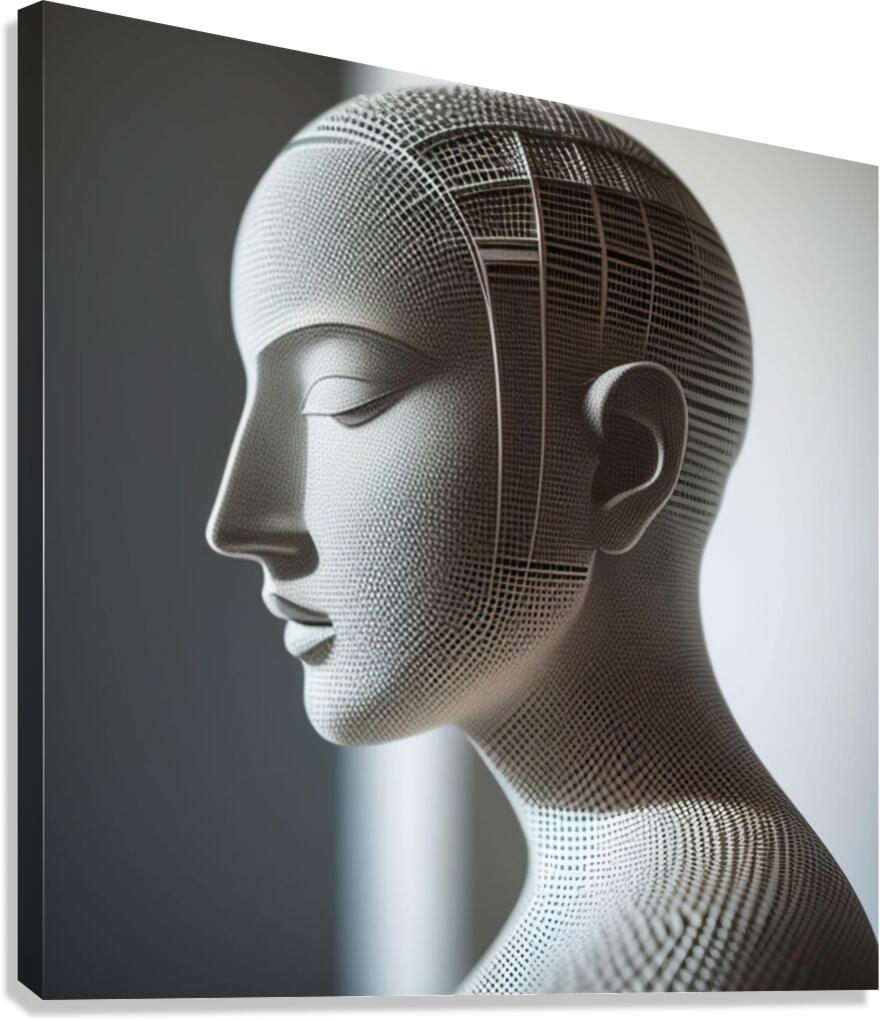 Faceless Expression 6 Canvas Print