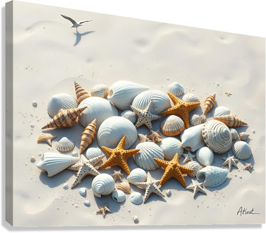 Shells and Starfish 2 Canvas Print