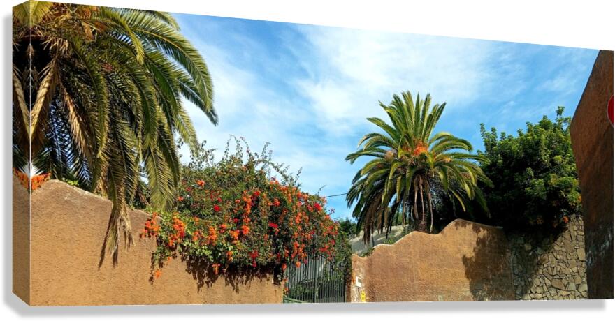 Landscape 2 Canvas Print