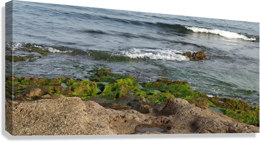 Atlantic  Canvas Print