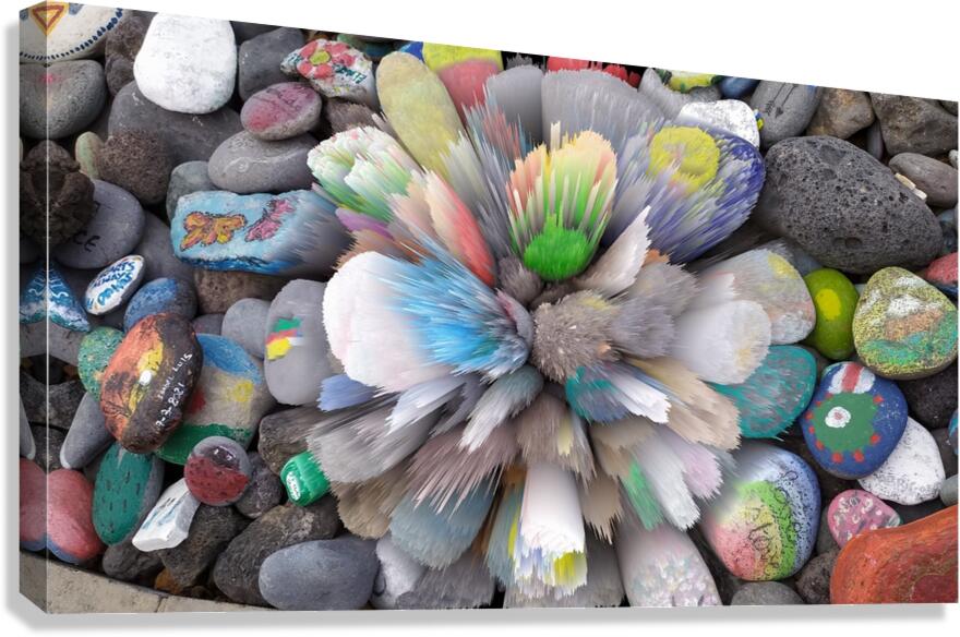 Distortions 33 Canvas Print