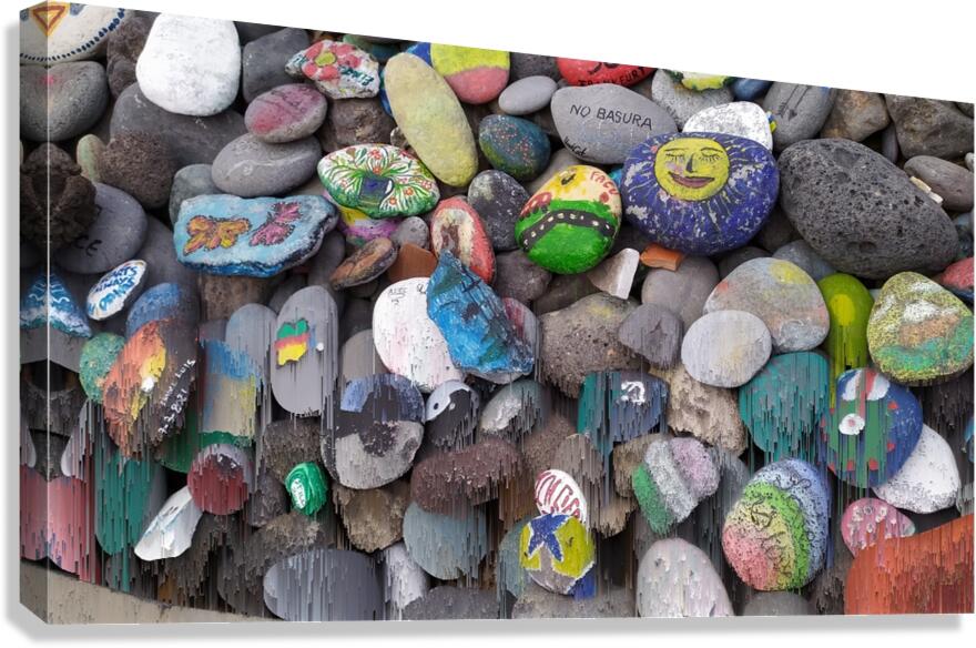 Distortions 27 Canvas Print