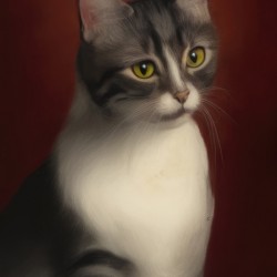 cat