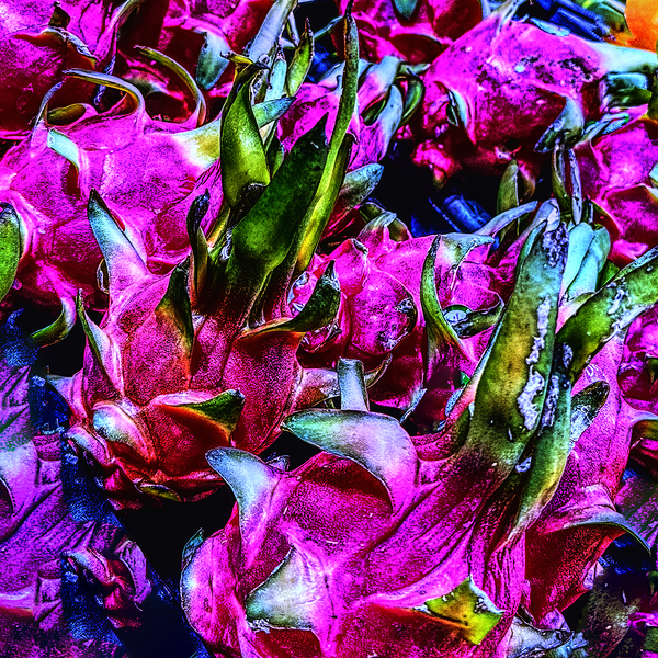 Dragon Fruit by Tracy Currie ~ Digital Photo Artist