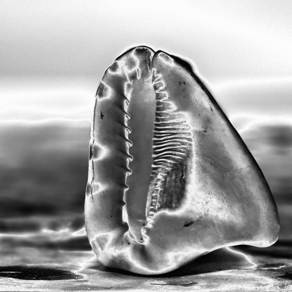 Hidden Architecture by Tracy Currie ~ Digital Photo Artist