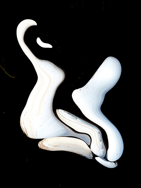 The Dancers by Tracy Currie ~ Digital Photo Artist