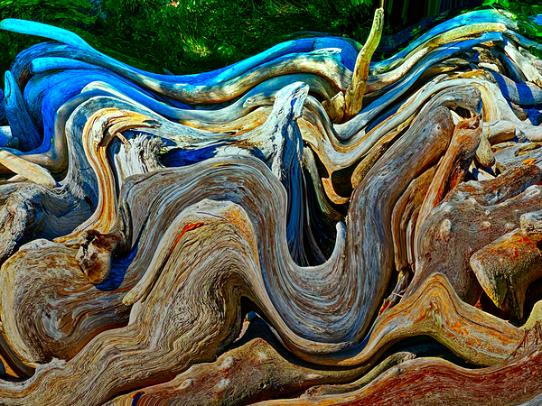 Drifted and Twisted Print