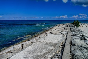 Jamaican Sea 3