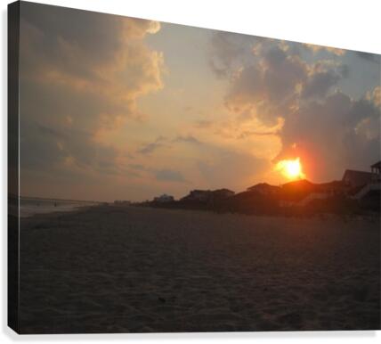 IMG_3753 Canvas Print