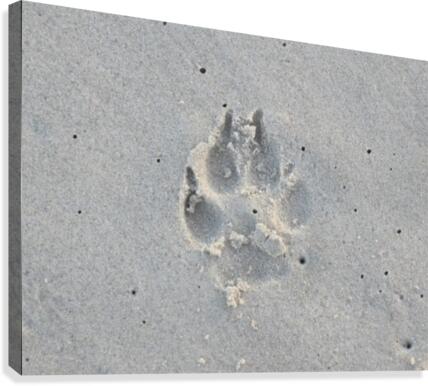 Dog Print Canvas Print