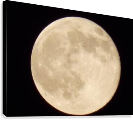 Super Moon Canvas Print