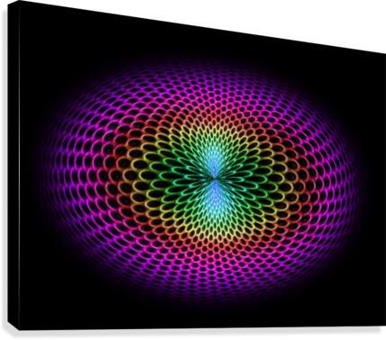 Illusions Canvas Print