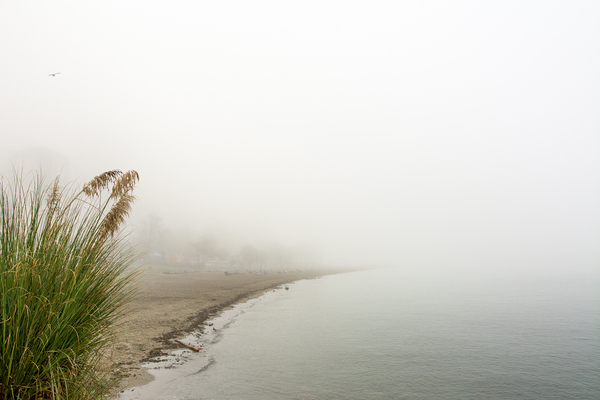 Fog Carved Crescent Print