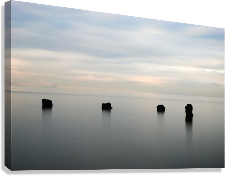 Resurfacing Canvas Print