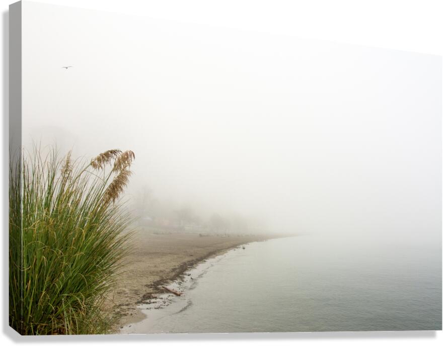 Fog Carved Crescent Canvas Print