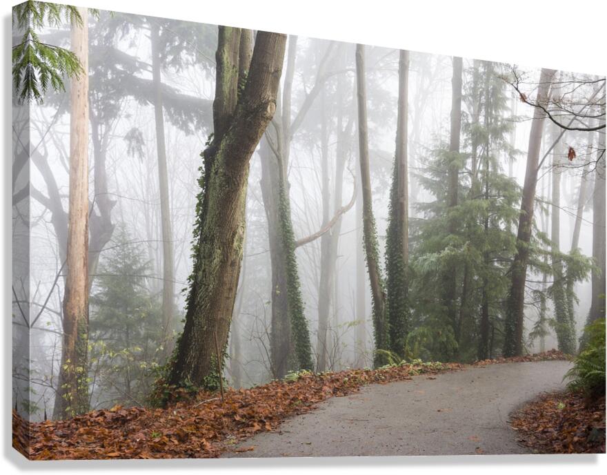 Passage Canvas Print