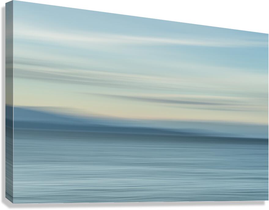 Presence in the Drift Canvas Print