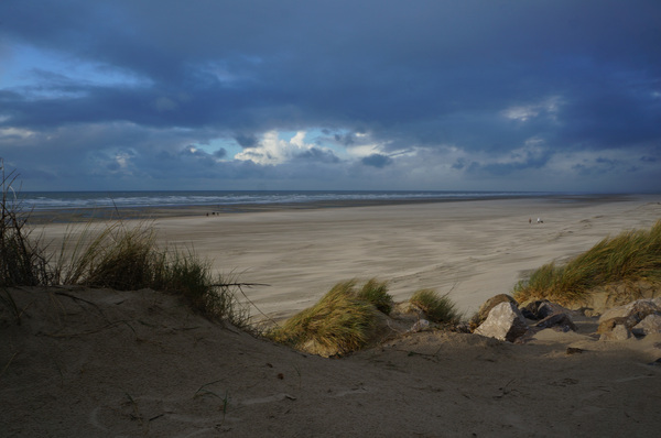 Beach in winter Print