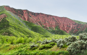 CO 2023 GlenwoodSprings2