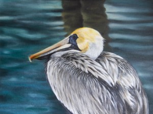 Pelican
