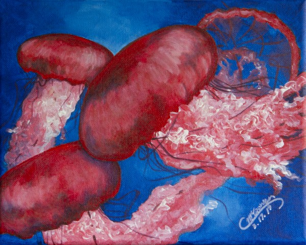 JellyFish  Print