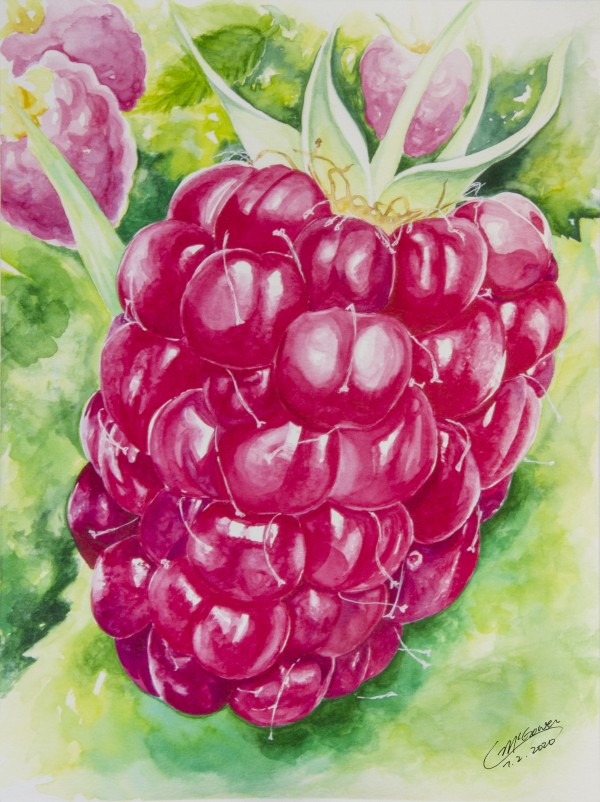Summer Flavor: Raspberry I Print
