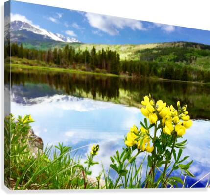 Flowers by the Bear Lake  Canvas Print