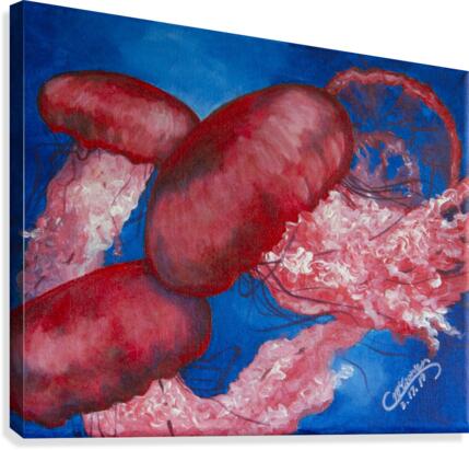 JellyFish  Canvas Print