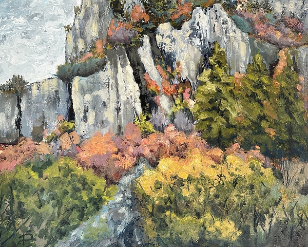 IMG 9824 1708396493.2488 Print