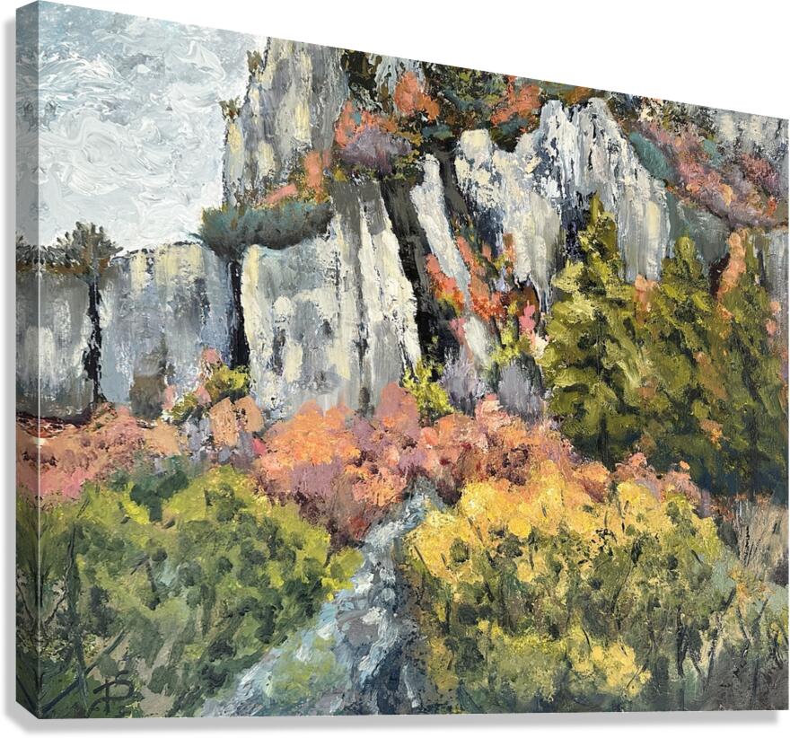 IMG 9824 1708396493.2488 Canvas Print