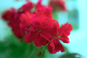 1 studio 51846974817 o copy