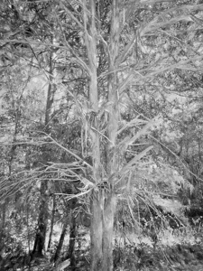 20231104 134056 studio